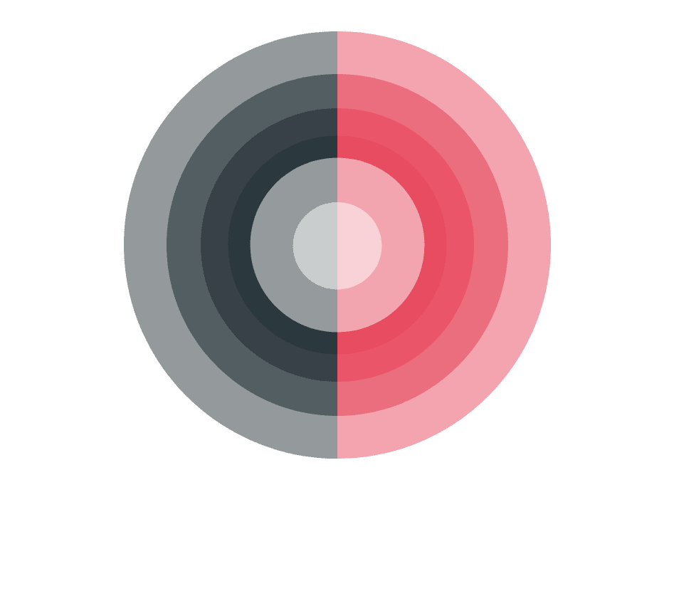 ALRO Cyber Security Services